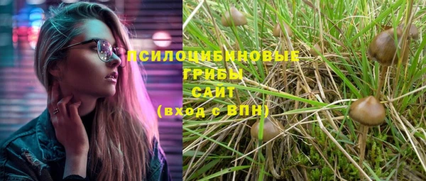 герыч Бородино