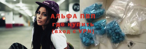 стаф Богородск