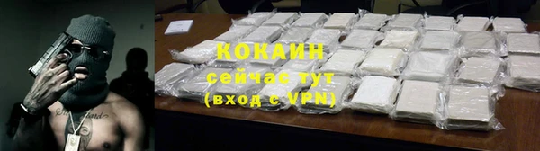 стаф Богородск
