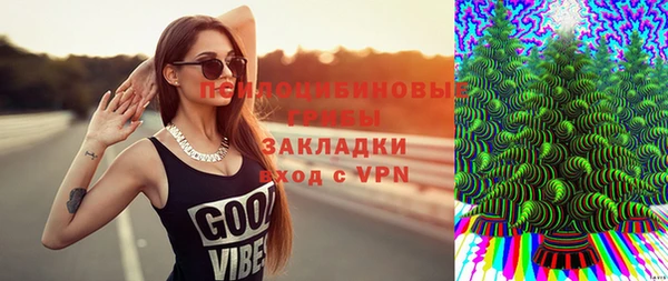 метадон Богданович