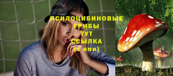 метадон Богданович
