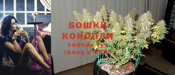 сатива Бугульма