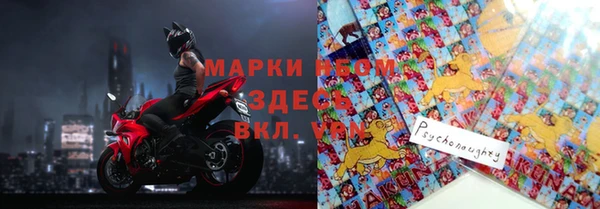 стаф Богородск