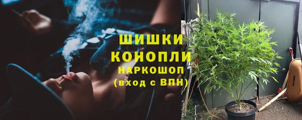 метадон Богданович
